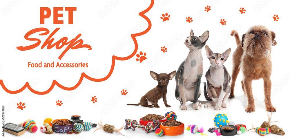 Best Theme for Pet Website / Store