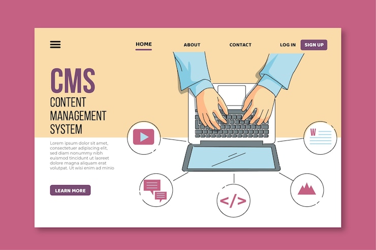 CMS Development Services
