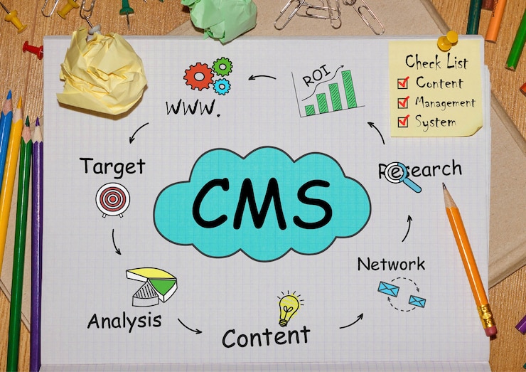 CMS Development Services