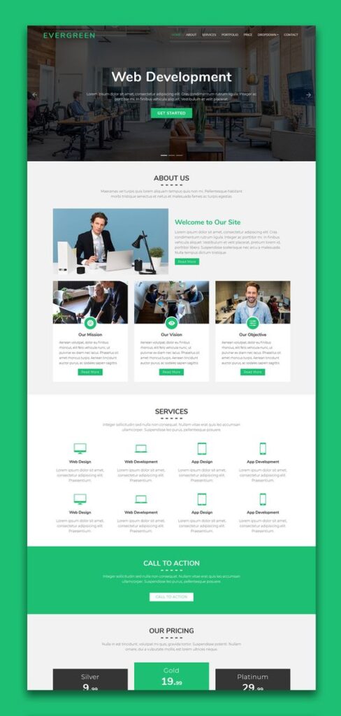 Website Developers for Small Business