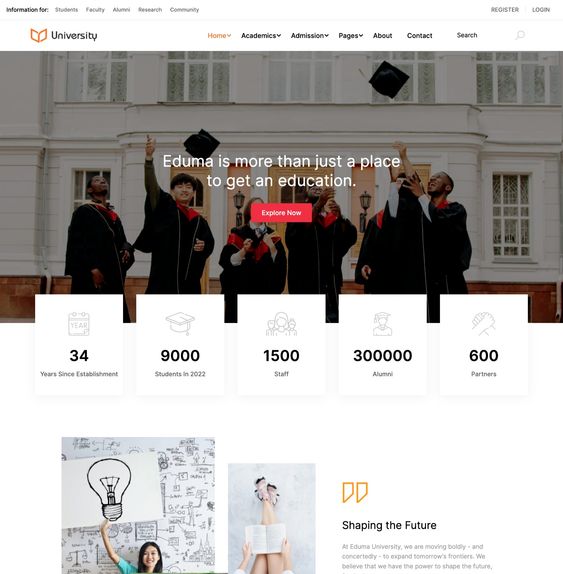 website for IT students