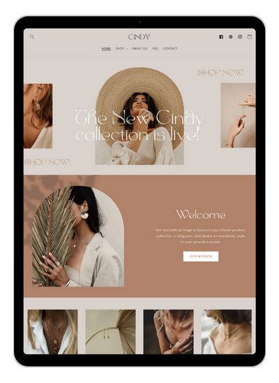 building a website on shopify