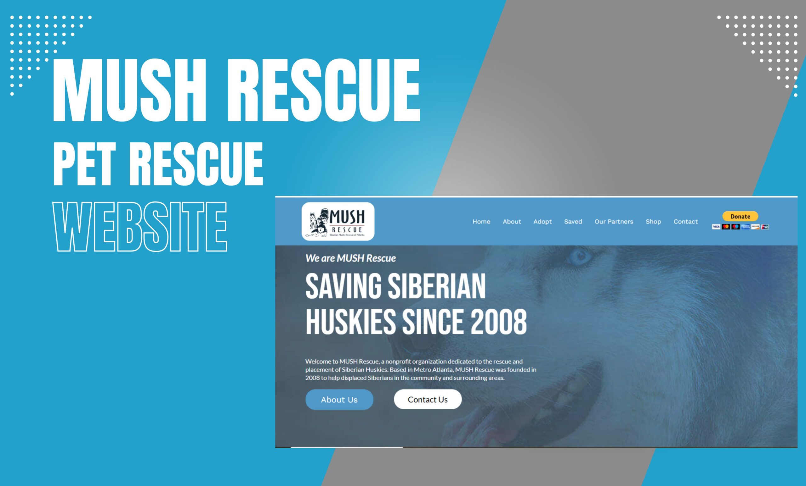NGO Website